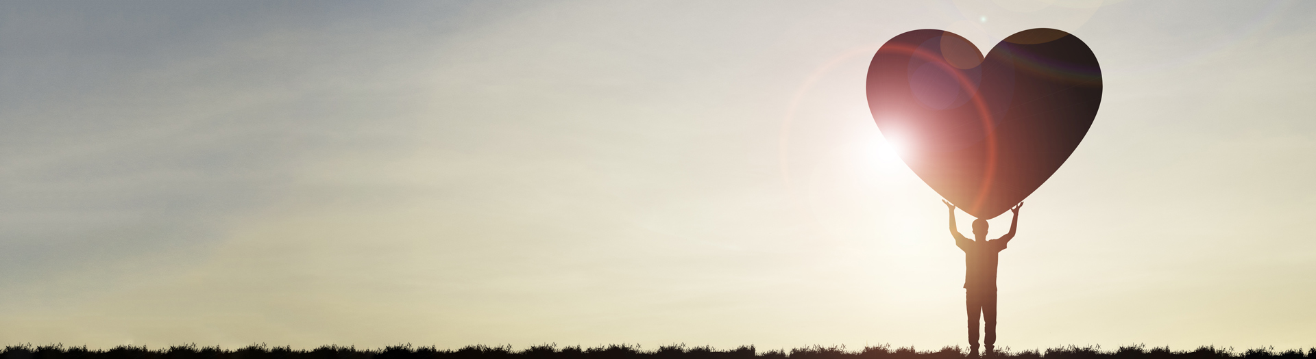 Pomoc charitatívnym organizáciám od msg life Pomoc charitatívnym organizáciám od msg life