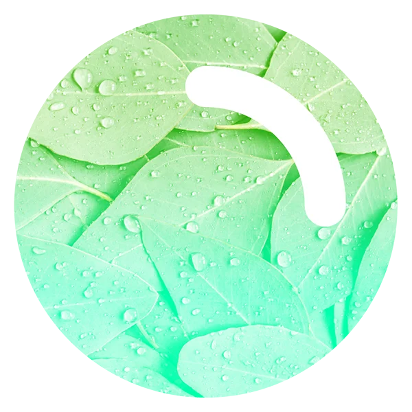 msi_product_symbols_ilis_600x600-600x600png 1