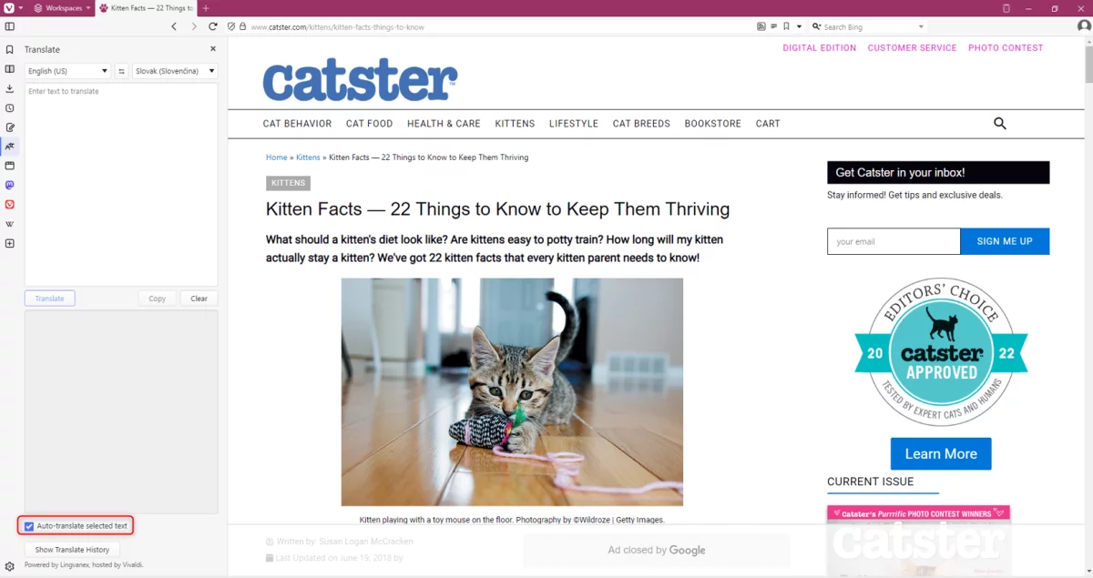 vivaldi-5 – msg life Slovakia vivaldi browser screenshot