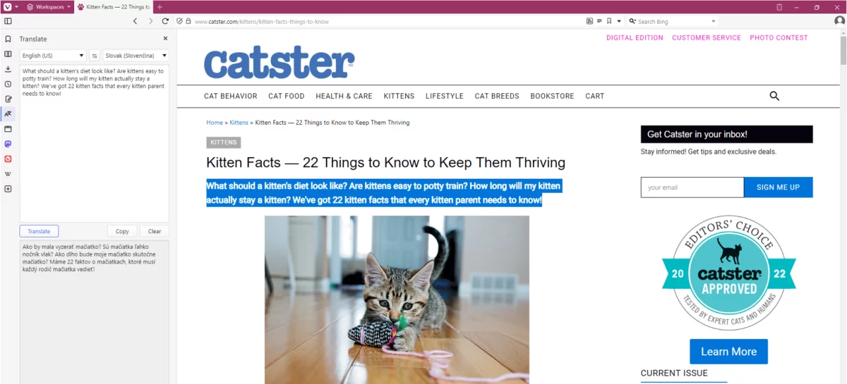 vivaldi-6 – msg life Slovakia vivaldi browser screenshot